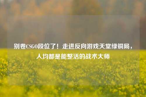 别卷CSGO段位了!走进反向游戏天堂绿铜局,人均都是能整活的战术大师