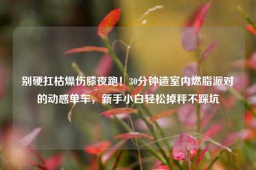 别硬扛枯燥伤膝夜跑!30分钟造室内燃脂派对的动感单车,新手小白轻松掉秤不踩坑