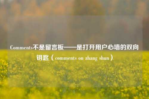 Comments不是留言板——是打开用户心墙的双向钥匙(comments on zhang shun)