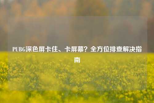 PUBG深色屏卡住、卡屏幕?全方位排查解决指南