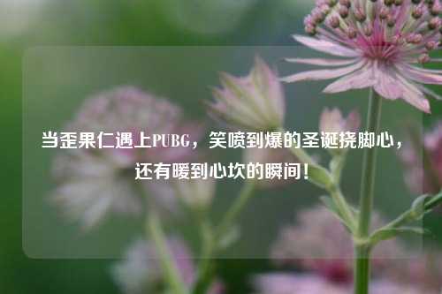 当歪果仁遇上PUBG,笑喷到爆的圣诞挠脚心,还有暖到心坎的瞬间!