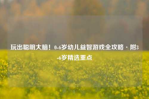 玩出聪明大脑!0-6岁幼儿益智游戏全攻略·附3-6岁精选重点