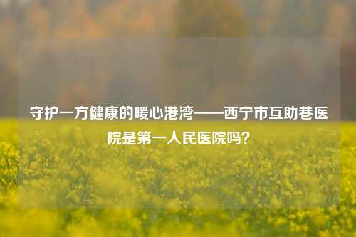 守护一方健康的暖心港湾——西宁市互助巷医院是第一人民医院吗?