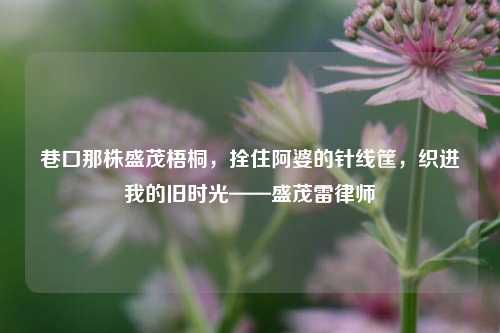巷口那株盛茂梧桐,拴住阿婆的针线筐,织进我的旧时光——盛茂雷律师