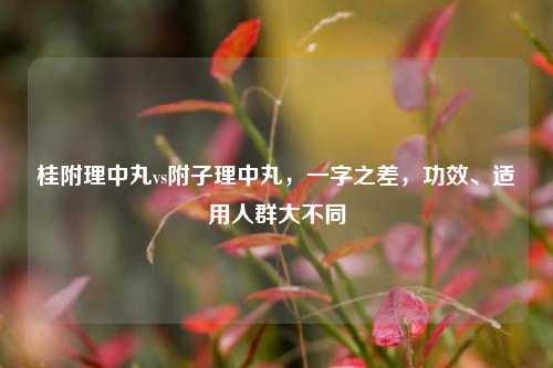桂附理中丸vs附子理中丸,一字之差,功效、适用人群大不同