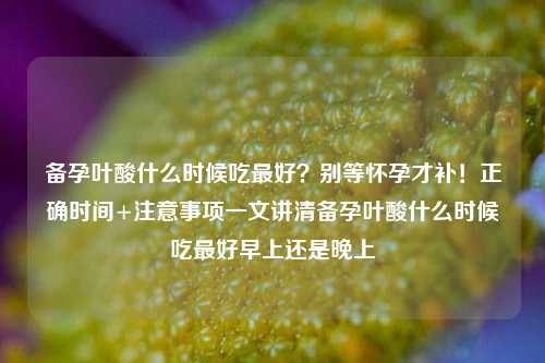 备孕叶酸什么时候吃最好?别等怀孕才补!正确时间+注意事项一文讲清备孕叶酸什么时候吃最好早上还是晚上