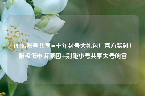 PUBG账号共享=十年封号大礼包!官方禁碰!附极低申诉原因+别碰小号共享大号的雷