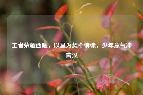 王者荣耀西曜,以星为契牵情愫,少年意气冲霄汉