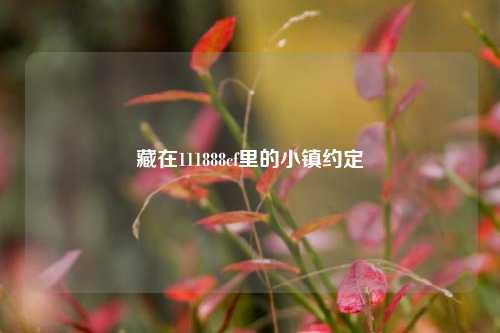 藏在111888cf里的小镇约定