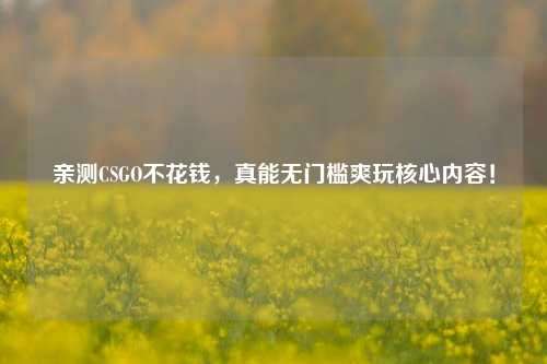 亲测CSGO不花钱，真能无门槛爽玩核心内容！