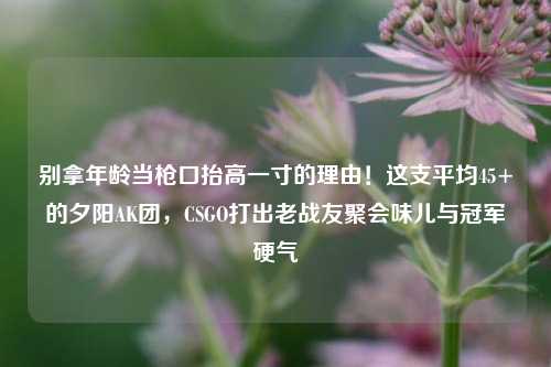 别拿年龄当枪口抬高一寸的理由!这支平均45+的夕阳AK团,CSGO打出老战友聚会味儿与冠军硬气