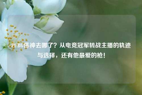 PUBG伟神去哪了?从电竞冠军转战主播的轨迹与选择,还有他最爱的枪!