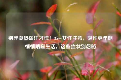 别等潮热盗汗才慌!35+女性注意,隐性更年期悄悄啃噬生活,这些症状别忽略