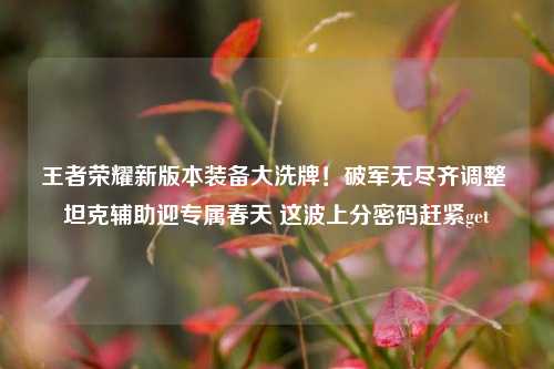王者荣耀新版本装备大洗牌!破军无尽齐调整 坦克辅助迎专属春天 这波上分密码赶紧get