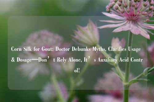 Corn Silk for Gout: Doctor Debunks Myths, Clarifies Usage & Dosage—Don’t Rely Alone, It’s Auxiliary Acid Control!