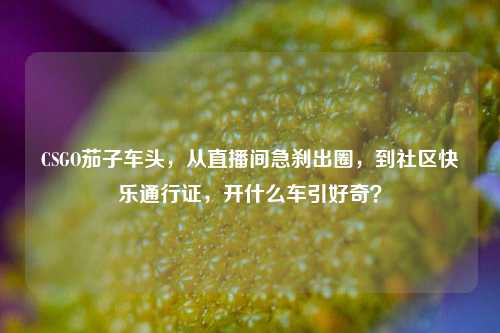 CSGO茄子车头,从直播间急刹出圈,到社区快乐通行证,开什么车引好奇?