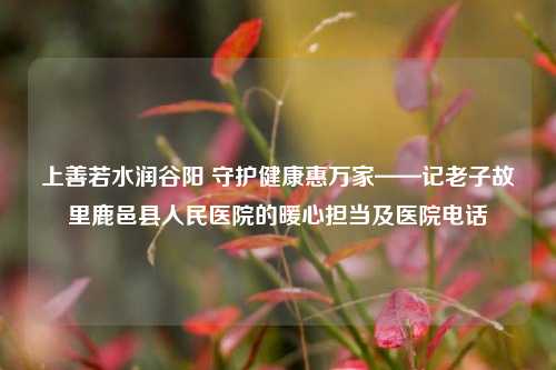 上善若水润谷阳 守护健康惠万家——记老子故里鹿邑县人民医院的暖心担当及医院电话