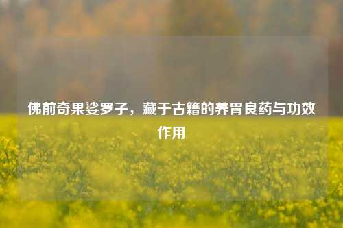 佛前奇果娑罗子,藏于古籍的养胃良药与功效作用