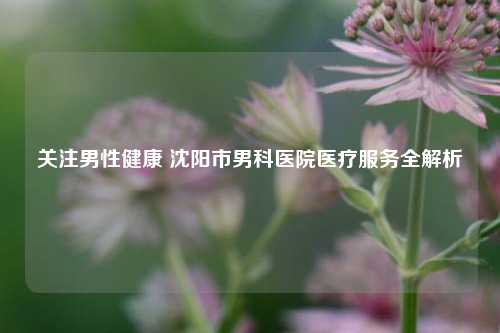 关注男性健康 沈阳市男科医院医疗服务全解析