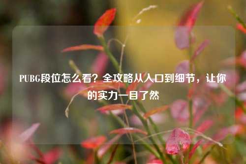 PUBG段位怎么看?全攻略从入口到细节,让你的实力一目了然