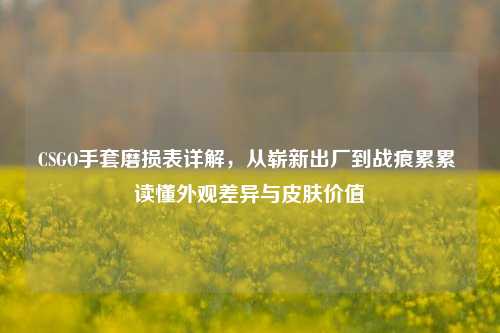 CSGO手套磨损表详解,从崭新出厂到战痕累累 读懂外观差异与皮肤价值
