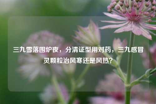 三九雪落围炉夜，分清证型用对药，三九感冒灵颗粒治风寒还是风热？