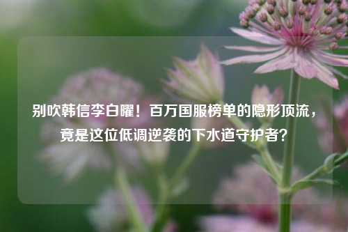别吹韩信李白曜!百万国服榜单的隐形顶流,竟是这位低调逆袭的下水道守护者?
