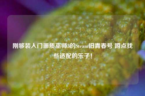 刚够装入门画质巫师3的Steam旧青春号 蹲点找些适配的乐子!