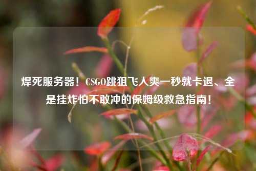 焊死服务器!CSGO跳狙飞人爽一秒就卡退、全是挂炸怕不敢冲的保姆级救急指南!