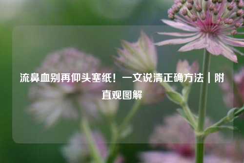 流鼻血别再仰头塞纸!一文说清正确方法|附直观图解