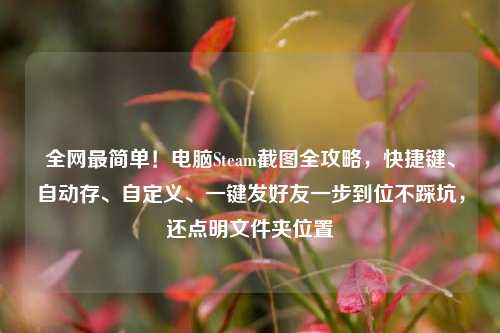 全网最简单！电脑Steam截图全攻略，快捷键、自动存、自定义、一键发好友一步到位不踩坑，还点明文件夹位置
