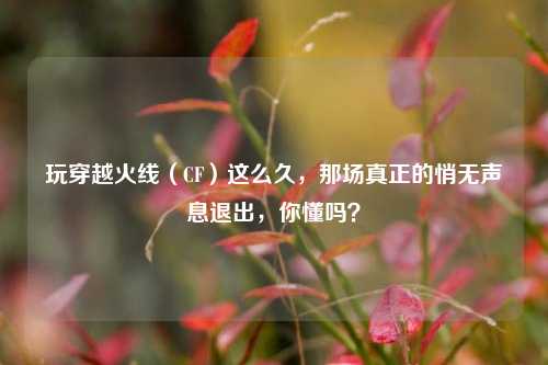 玩穿越火线（CF）这么久，那场真正的悄无声息退出，你懂吗？