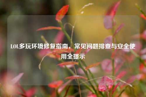 LOL多玩环境修复指南,常见问题排查与安全使用全提示