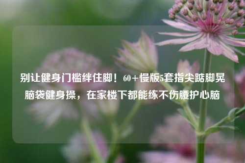 别让健身门槛绊住脚!60+慢版5套指尖踮脚晃脑袋健身操,在家楼下都能练不伤腰护心脑