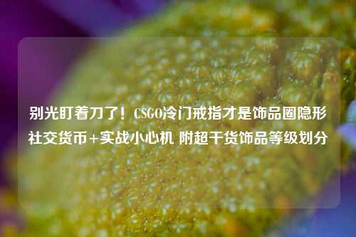 别光盯着刀了!CSGO冷门戒指才是饰品圈隐形社交货币+实战小心机 附超干货饰品等级划分