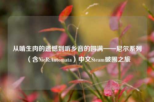 从啃生肉的遗憾到听乡音的圆满——尼尔系列(含NieR:Automata)中文Steam破圈之旅