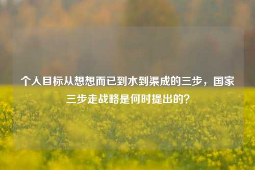 个人目标从想想而已到水到渠成的三步,国家三步走战略是何时提出的?