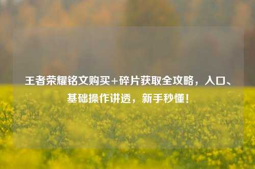 王者荣耀铭文购买+碎片获取全攻略,入口、基础操作讲透,新手秒懂!
