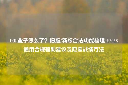 LOL盒子怎么了?旧版/新版合法功能梳理+202X通用合规辅助建议及隐藏战绩方法