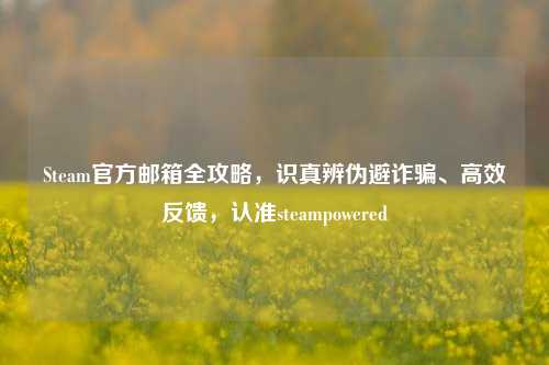 Steam官方邮箱全攻略，识真辨伪避诈骗、高效反馈，认准steampowered