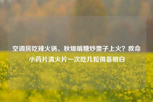 空调房吃辣火锅、秋燥啃糖炒栗子上火?救命小药片清火片一次吃几粒得备明白