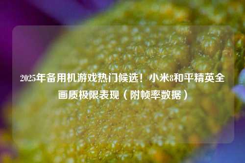 2025年备用机游戏热门候选!小米8和平精英全画质极限表现(附帧率数据)