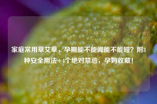 家庭常用草艾草,孕期能不能闻能不能碰?附3种安全用法+4个绝对禁忌,孕妈收藏!