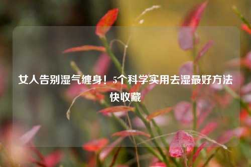 女人告别湿气缠身!5个科学实用去湿最好方法快收藏