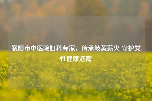 襄阳市中医院妇科专家,传承岐黄薪火 守护女性健康港湾
