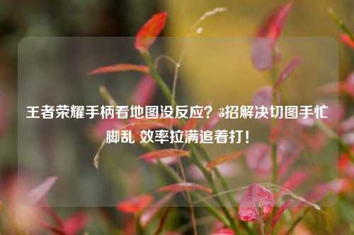 王者荣耀手柄看地图没反应?3招解决切图手忙脚乱 效率拉满追着打!
