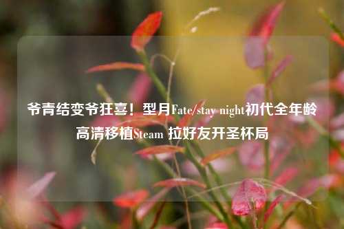 爷青结变爷狂喜!型月Fate/stay night初代全年龄高清移植Steam 拉好友开圣杯局