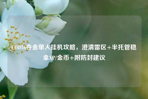 COD16夺金单人挂机攻略,澄清雷区+半托管稳拿XP/金币+附防封建议
