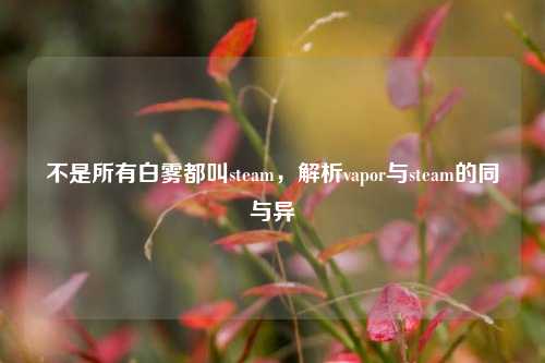 不是所有白雾都叫steam,解析vapor与steam的同与异