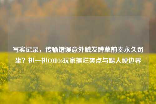 写实记录,传输错误意外触发蹲草前奏永久罚坐?扒一扒COD16玩家摆烂爽点与踢人硬边界
